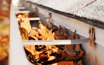 Woodwick gutter cleaning companies