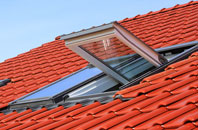 Woodwick roof window